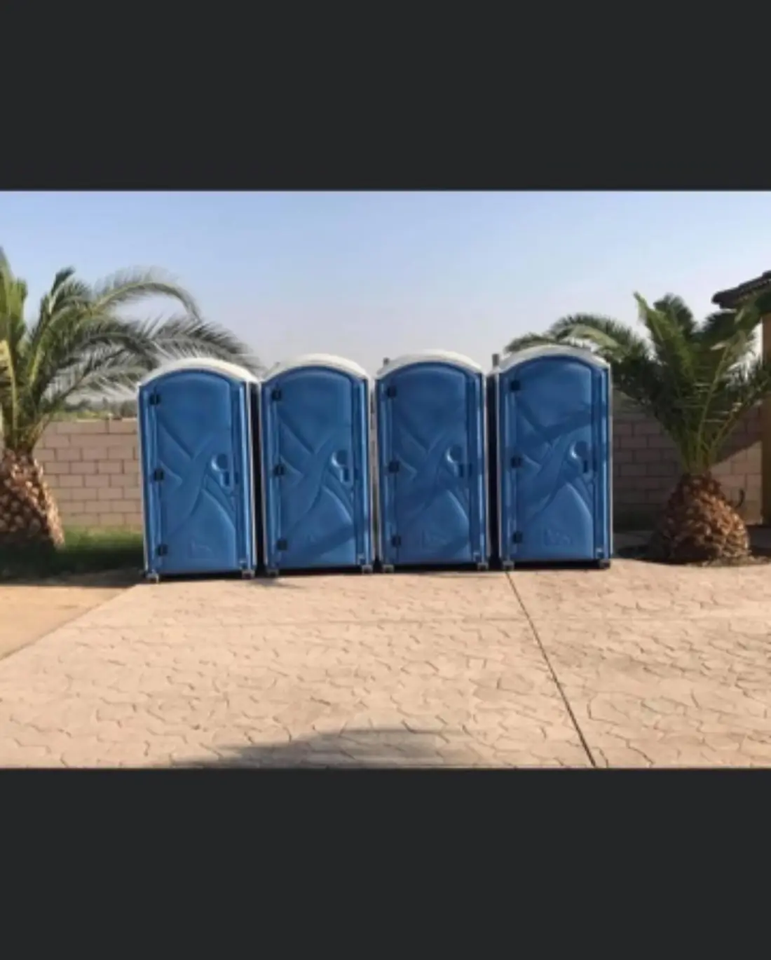 Standard porta potties under palm trees